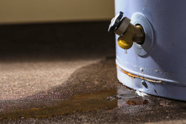 Water damage restoration mold remediation in Brownsville, PA