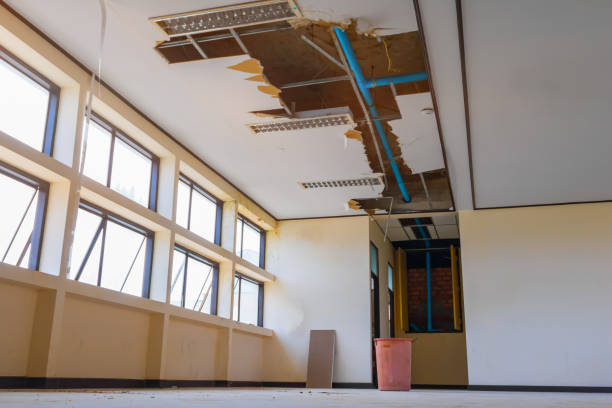 Best Water damage restoration services  in Brownsville, PA