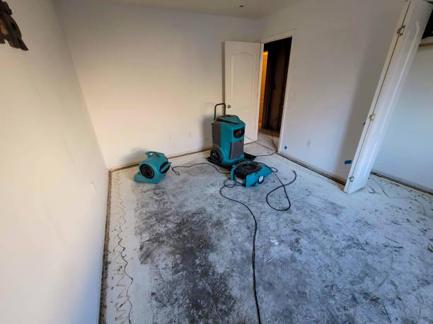 Best Water damage restoration near me  in Brownsville, PA