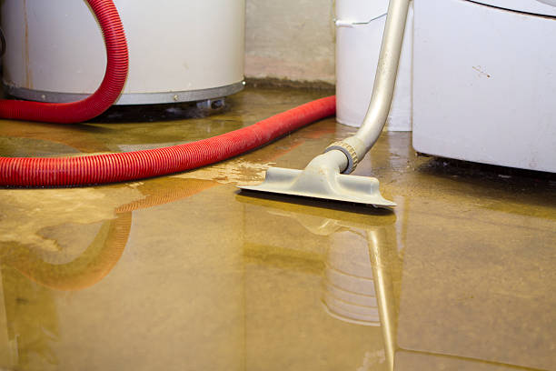 Best Basement water damage restoration  in Brownsville, PA