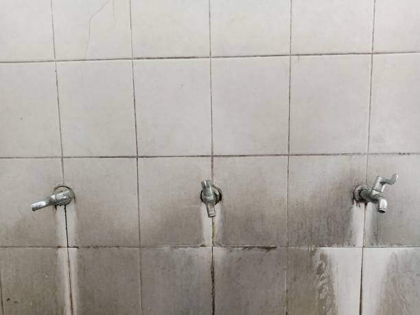 Best Flooded house restoration  in Brownsville, PA