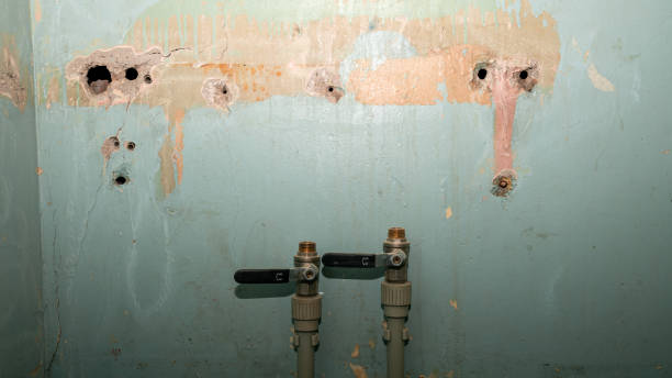 Best Flood damage cleanup  in Brownsville, PA