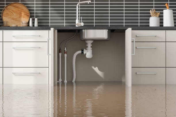 Best Ceiling water damage repair  in Brownsville, PA