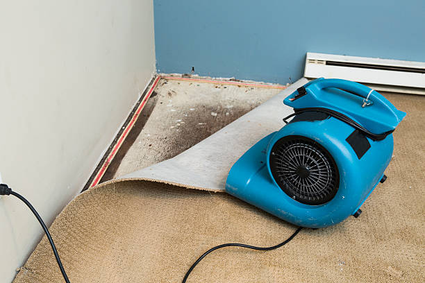  Brownsville, PA Water damage restoration Pros