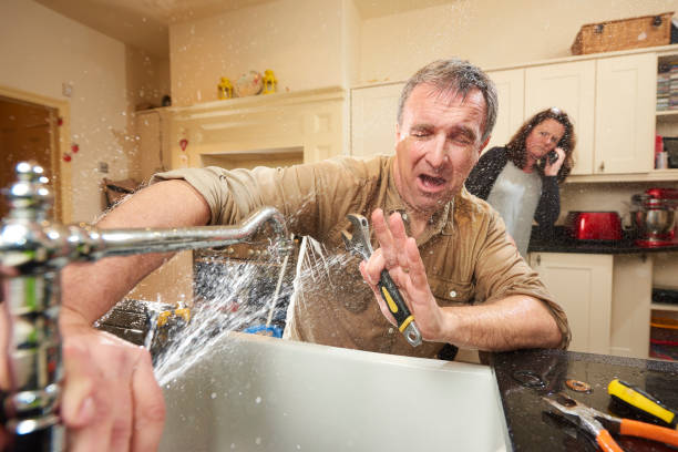 Best Water damage cleanup near me  in Brownsville, PA